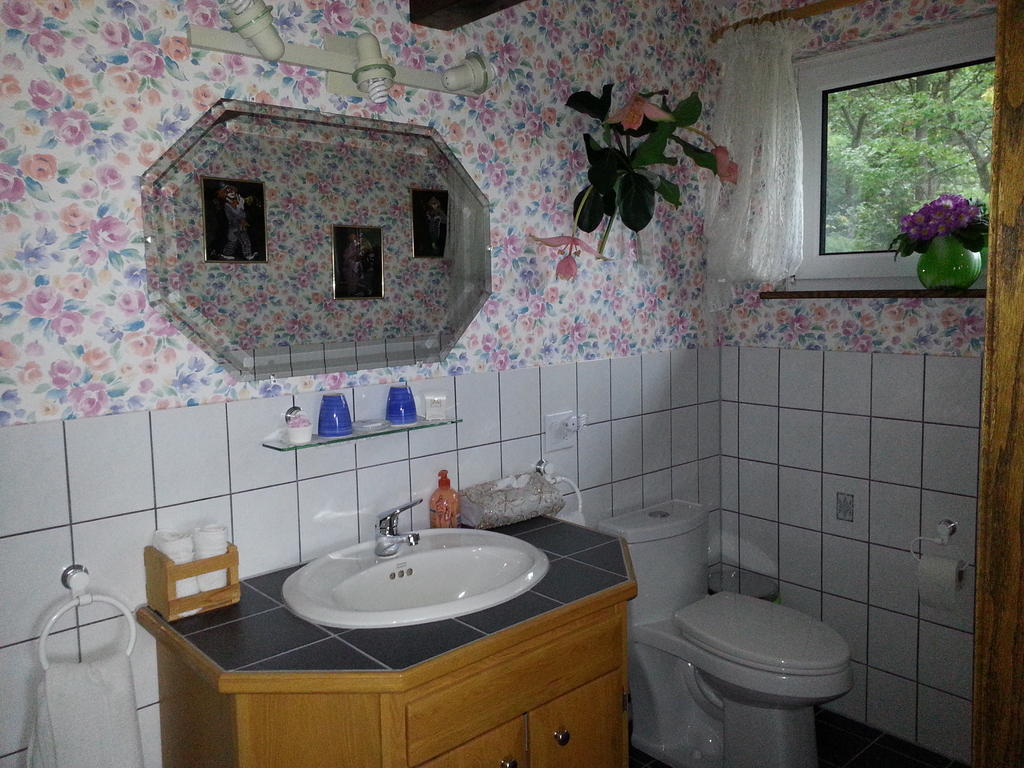 Chalet Rosemarie Nobel Camera foto